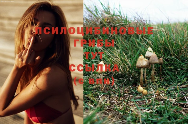 гидропоника Навашино