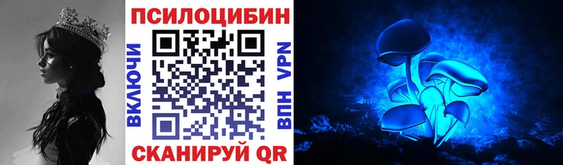 Галлюциногенные грибы Magic Shrooms где найти Подпорожье